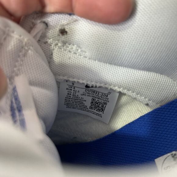 Nike Dunk Low Retro “White Royal Blue” DV0831-104 main image 8